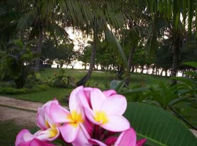 Otuhaka Beach Resort Kanokupolu Номер фото